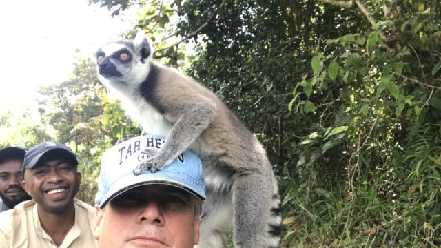 Lemur in Madagascar loving my hat!